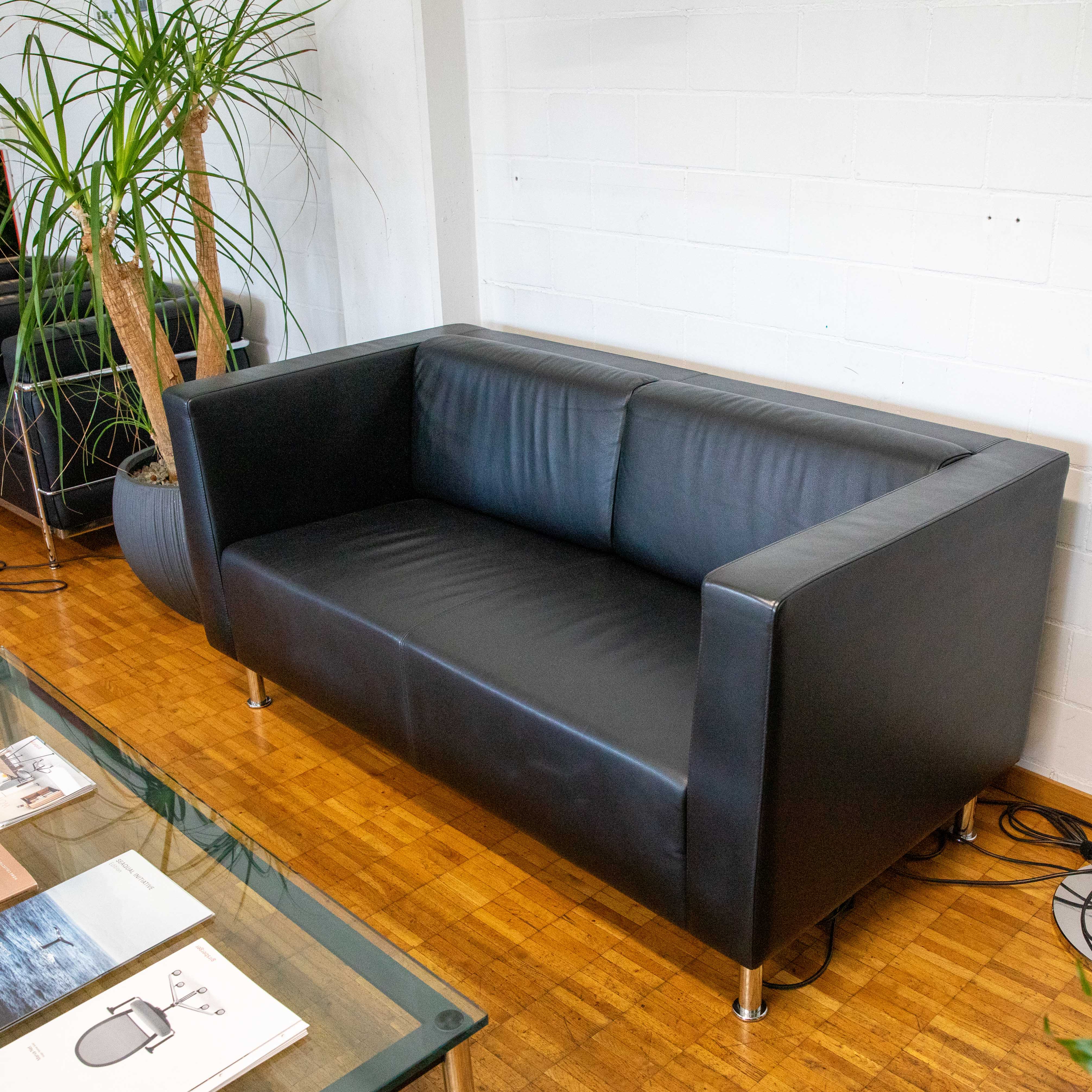 A black ‘Dietiker’ leather sofa, model Cubus, with clean straight lines and four silver metal legs, stands on parquet flooring before a white brick wall. Left is a tall potted plant. Foreground: a glass coffee table edge with magazines.