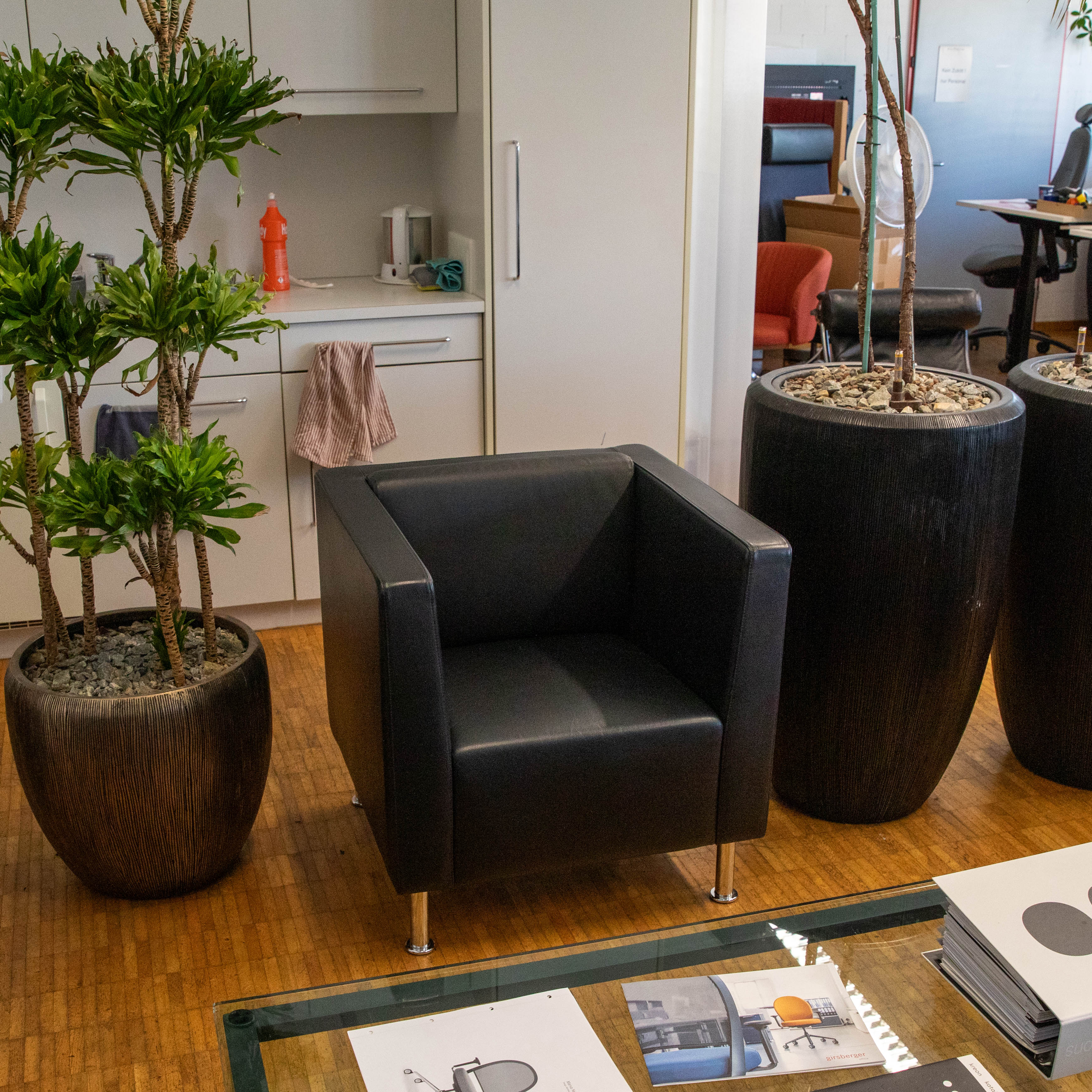 A black ‘ Dietiker ’ leather armchair, model Cubus, stands on a wooden floor in a modern room. It has four polished metal legs and is flanked by two dark brown plant pots containing tall green plants. White cupboards can be seen in the background.