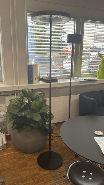 Belux Stehleuchte Disk Schwarz